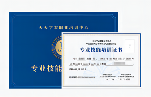 jinnian金年会专业技能培训证书