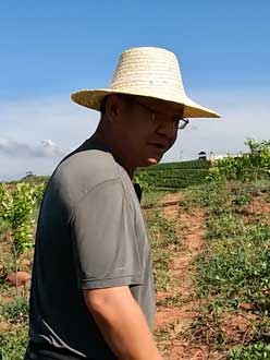 农业人叶涛，50多岁通讯人跨界搞农业，他要用1000万打造一个梦。